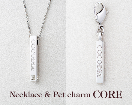 Necklace & charm - CORE