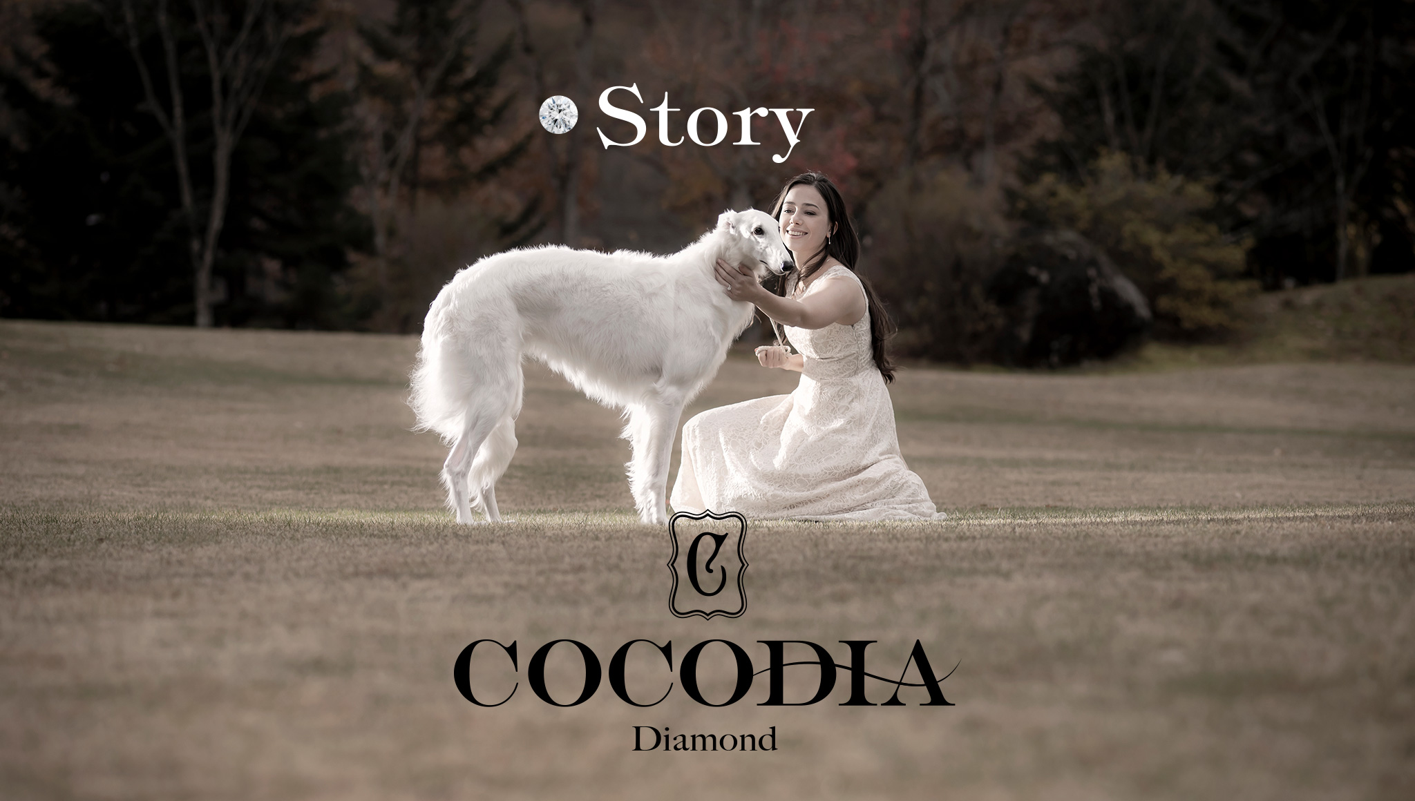 Story｜COCODIA Diamond